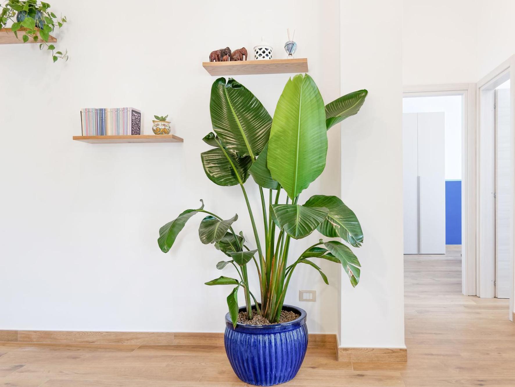 Susanna Boutique Home Vico Equense Ngoại thất bức ảnh